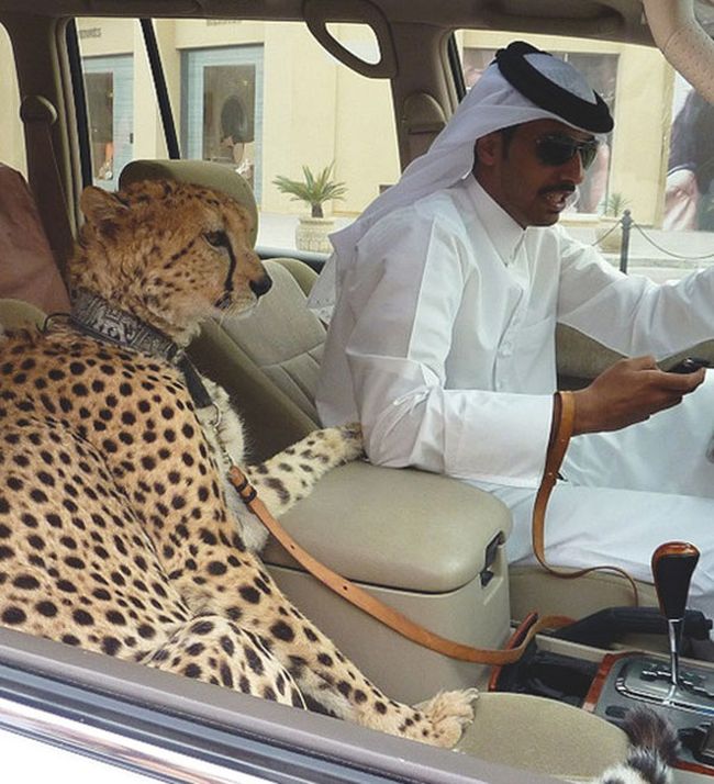 only in dubai 02