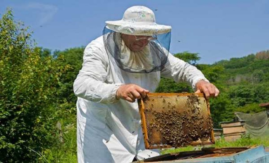Η Περιφέρεια ενημερώνει τους μελισσοκόμους