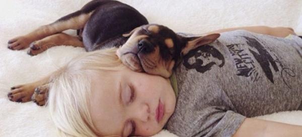 Η ιστορία αγάπης και... ύπνου - Το μωρό και ο σκύλος που «έλιωσαν» το Ιντερνετ σε νέες περιπέτειες [εικόνες]