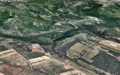 Συνεργασία "Επτανησιακής Πρωτοβουλίας" - Κ.Ο. Κινήματος Αλλαγής, για δασικούς χάρτες στα Ιόνια νησιά