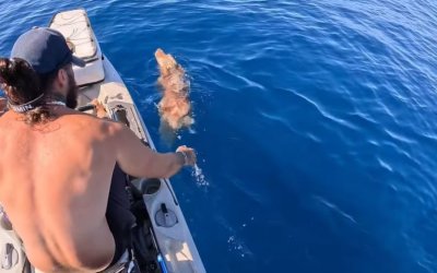 Απίστευτο! Βγήκε με κανό για ψάρεμα και βρήκε σκύλο ανοιχτά της Πάρου – Το video της διάσωσης