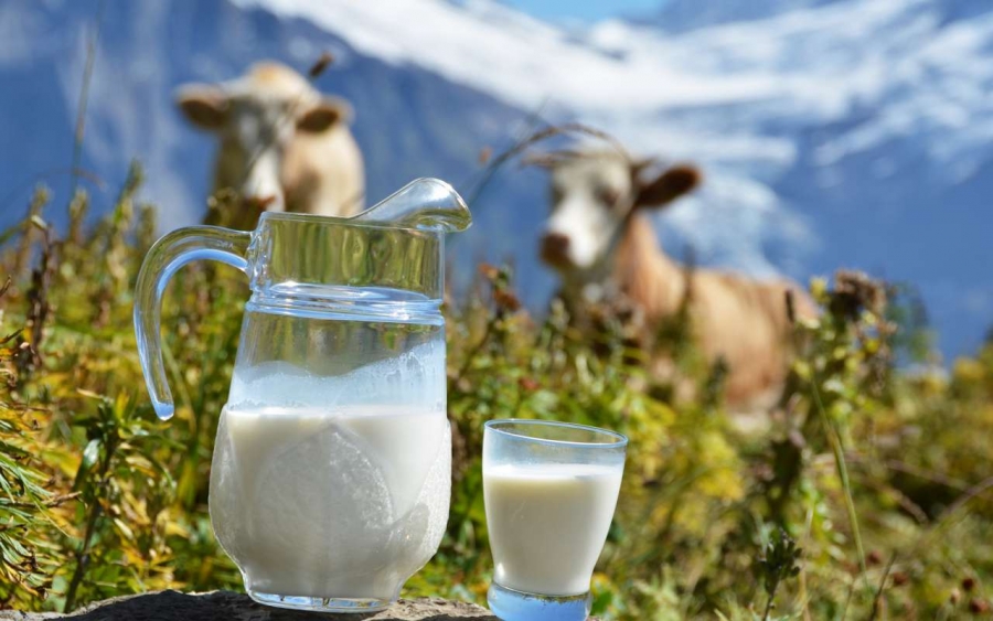 Ε.Α.Σ.: Αρχίζουν αύριο οι διαδοχικές συναντήσεις Κτηνοτρόφων για το γάλα