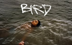 Σινεμά στην Ανάκαρα: Η ταινία «BIRD» στον Πολιτιστικό Σύλλογο Ληξουρίου