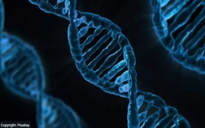 Σπουδαία ανακάλυψη: Αποκωδικοποιήθηκε πλήρως για πρώτη φορά το ανθρώπινο γονιδίωμα