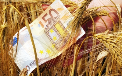 Αγροτικά χρέη: Έρχεται ρύθμιση με γενναίο «κούρεμα» και δόσεις