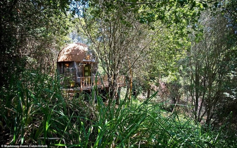 Αυτό είναι το πιο διάσημο σπίτι του Airbnb -Στην μέση του δάσους, λιτό με υπέροχη γυάλινη οροφή [εικόνες]