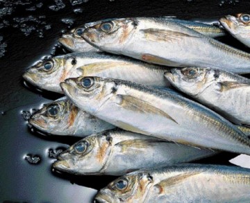 Τι πρέπει να γνωρίζουμε για την κατανάλωση ψαριών και τα βαρέα μέταλλα