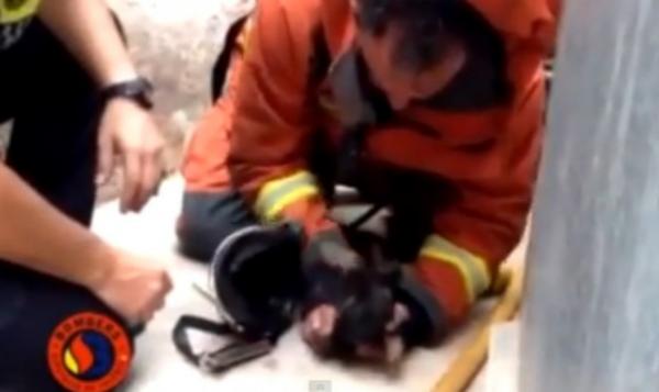 Πυροσβέστης ήρωας σώζει κουτάβι δίνοντάς του το φιλί της ζωής (video)