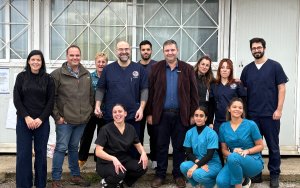 Lixouri : Massive citizen participation in the free stray sterilization program