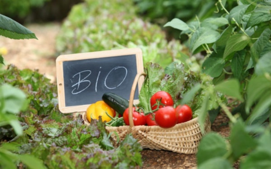 Ε.Α.Σ. : Οικονομικές Ενισχύσεις για Βιολογικές καλλιέργειες