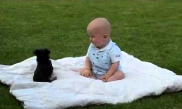 Δείτε τι γίνεται όταν ένα μωρό βρεθεί με ένα κουταβάκι! (VIDEO)