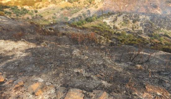Καπανδρίτι: Εικόνες απ&#039; τη μεγάλη φωτιά