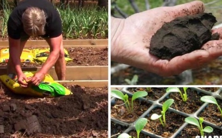 Προετοιμάστε τον Κήπο Σας Για τις Ανοιξιάτικες Εργασίες – Διαβάστε Όσα Πρέπει να Ξέρετε Πριν Φυτέψετε