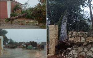 Ληξούρι: Προσοχή - Έχουν πέσει δέντρα σε καλώδια της ΔΕΗ (εικόνες)