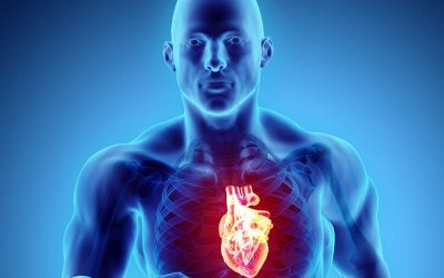 Η Ελληνική Καρδιολογική Εταιρεία για τον αιφνίδιο καρδιακό θάνατο και τη μέγιστη αξία του προ-αθλητικού ελέγχου