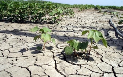 Ε.Α.Σ.: Πρόσθετη επιδότηση λόγω ξηρασίας για τους Αγρότες