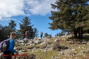 Η Ορειβατική Λέσχη σε Ατσουπάδες-Ζωοδόχο Πηγή- Μέγα Σωρό (εικόνες)