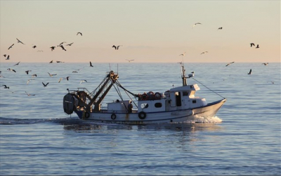 Περιφέρεια: Έκτακτη οικονομική ενίσχυση στους παράκτιους αλιείς - Τα ποσά