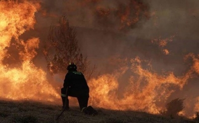 Κεραυνός έκαψε 60 ζώα σε κτηνοτροφική μονάδα στα Τρίκαλα