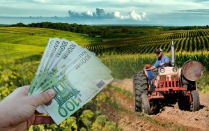 Ε.Α.Σ.: Πως κατανέμονται οι Συνδεδεμένες Αγροτικές Επιδοτήσεις