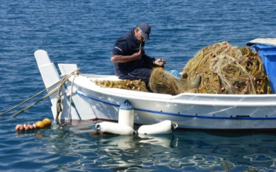 Υποχρέωση υποβολής στοιχείων αλιευτικών δραστηριοτήτων- Ανανέωση αδειών επαγγελματικών αλιευτικών σκαφών