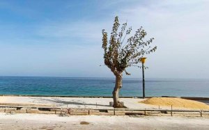 Δήμος Αργοστολίου: Ξεκίνησε το σημαντικό έργο στην παραλία του Πόρου, με την δημιουργία μεγάλου μήκους παραλιακού πεζοδρομίου