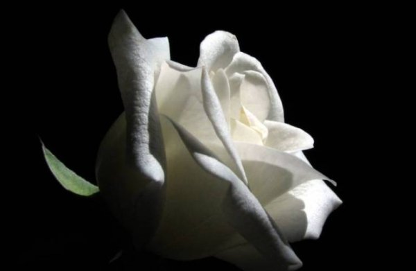 Συλλυπητήρια για την απώλεια της Ευαγγελίας Λυκούδη