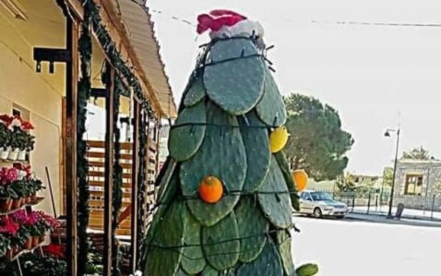 Αυτό το χριστουγεννιάτικο δέντρο στη Μάνη είναι μακράν το πιο πρωτότυπο σε όλη τη χώρα [εικόνα]