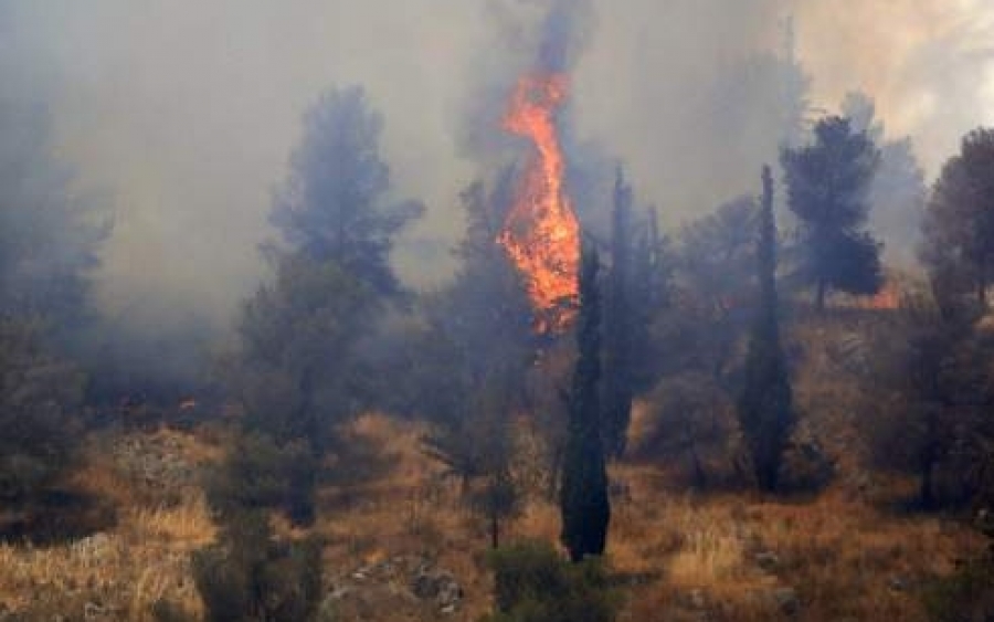 Ολονύχτια «μάχη» με τις φλόγες στα Χανιά - Κάηκαν 2.300 στρέμματα