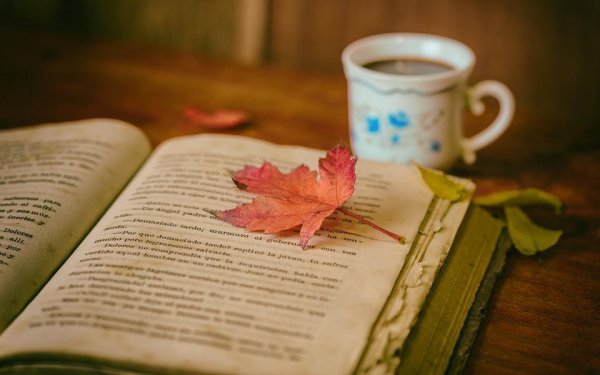 Η «Κυμοθόη» επιστρέφει: Παρουσιάζεται ο 34ος τόμος στην Κοργιαλένειο Βιβλιοθήκη