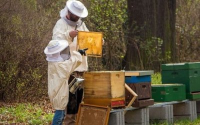 Ε.Α.Σ.: Προς τους συμπατριώτες Μελισσοκόμους