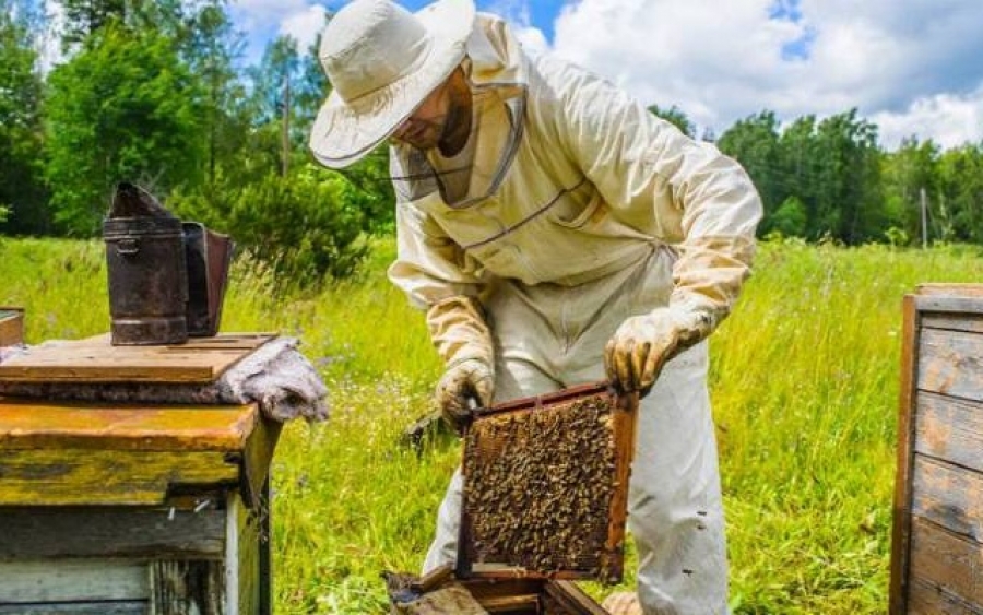 Ετήσια Γενική Συνέλευση του Μελισσοκομικού Συνεταιρισμού