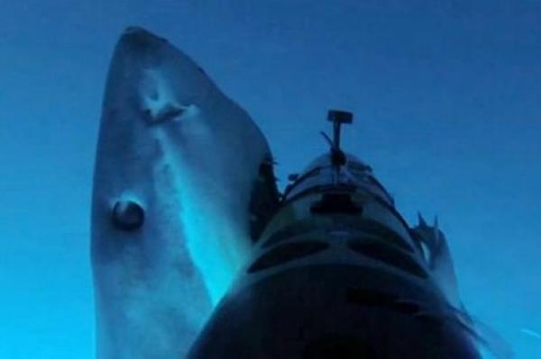 Το δάγκωμα ενός μεγάλου λευκού καρχαρία (video)