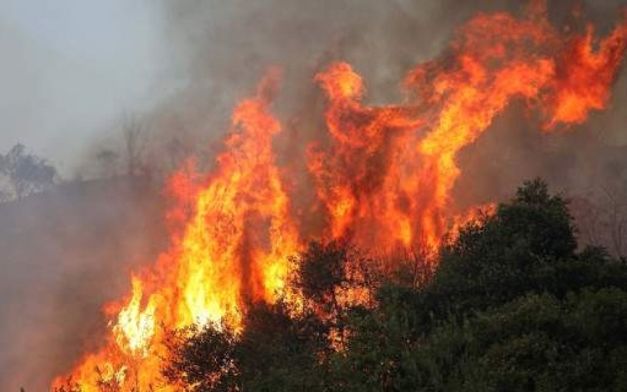 «Μάχη» με τις φλόγες: 130 πυρκαγιές σε ένα 24ωρο
