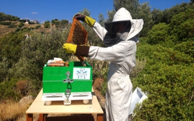 Γενική Συνέλευση του Μελισσοκομικού Συνεταιρισμού