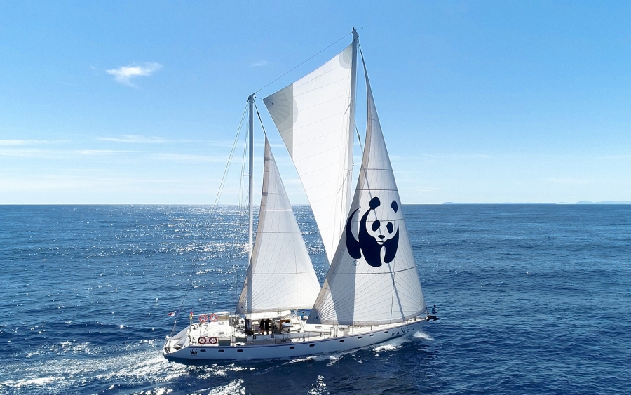WWF &amp; Greenpeace : Η  Ελλάδα παραχωρεί Θαλάσσια έκταση 50.000 τ. χλμ. σε Ιόνιο και Κρήτη στις πετρελαϊκές εταιρείες