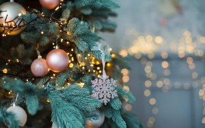 Την Κυριακή θα ανάψει το Χριστουγεννιάτικο Δέντρο στα Φαρακλάτα