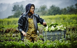 Πρόγραμμα ΕΣΠΑ για αγρότες: Όλες οι λεπτομέρειες για τις αιτήσεις και τους όρους ένταξης