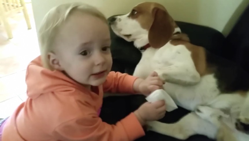 Μόλις δείτε τι κάνει αυτό το κοpιτσάκι με το σκυλάκι της, θα «λιώσετε»! (VIDEO)