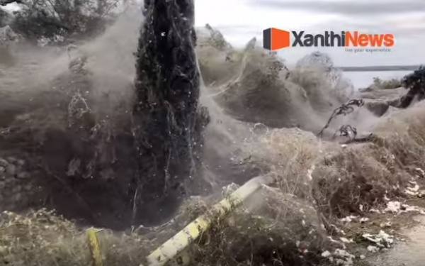 Απίστευτο: Γιγαντιαίος ιστός αράχνης 1.000 μέτρων στη λίμνη Βιστωνίδα (video)