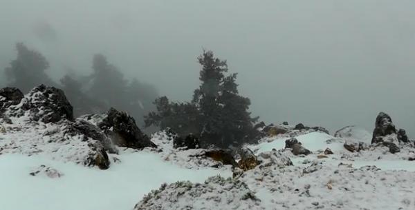 Εκπληκτικό VIDEO από τον χιονισμένο Αίνο - Μοναδικές εικόνες από το βουνό