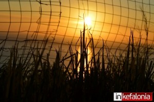 Με φόντο ένα ηλιοβασίλεμα στην Κεφαλονιά… (εικόνες)