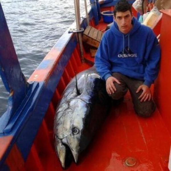 Εύβοια: Σήκωσε τα δίχτυα του και είδε αυτό το ψάρι - Δεν πίστευε στα μάτια του ο 17χρονος ψαράς (εικόνες)