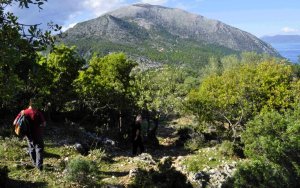 Δημιουργία Δικτύου Πεζοπορικών Διαδρομών στον Δήμο Αργοστολίου – Επένδυση στη Φύση, τον Άνθρωπο και τη Βιώσιμη Ανάπτυξη