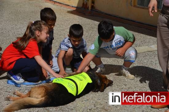 Σημαντική πρωτοβουλία ενημέρωσης των μαθητών για τη συμπεριφορά στους σκύλους [εικόνες / video] - ανανεωμένο