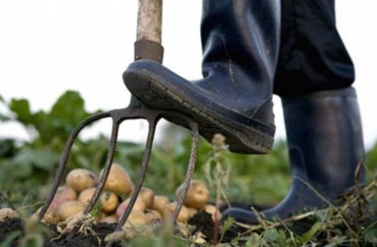 3.500 “κηπουροί” σε δήμο της Αττικής - Ειδικός ανακριτής για σπατάλη στους ΟΤΑ