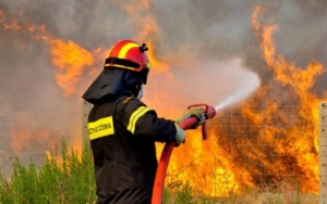 Πυρκαγιά σε δασική έκταση στην Μούντα