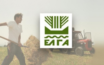 Ε.Α.Σ.: Απόφαση ΕΛΓΑ υπέρ ντόπιων Αγροτών
