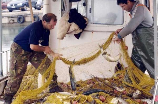 «Αλιεία μεγάλων πελαγικών ψαριών για το 2015»