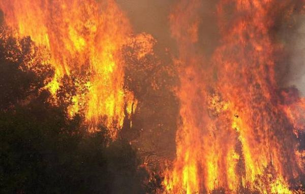 Κίνδυνος παραγραφής για τις φωτιές στην Ηλεία